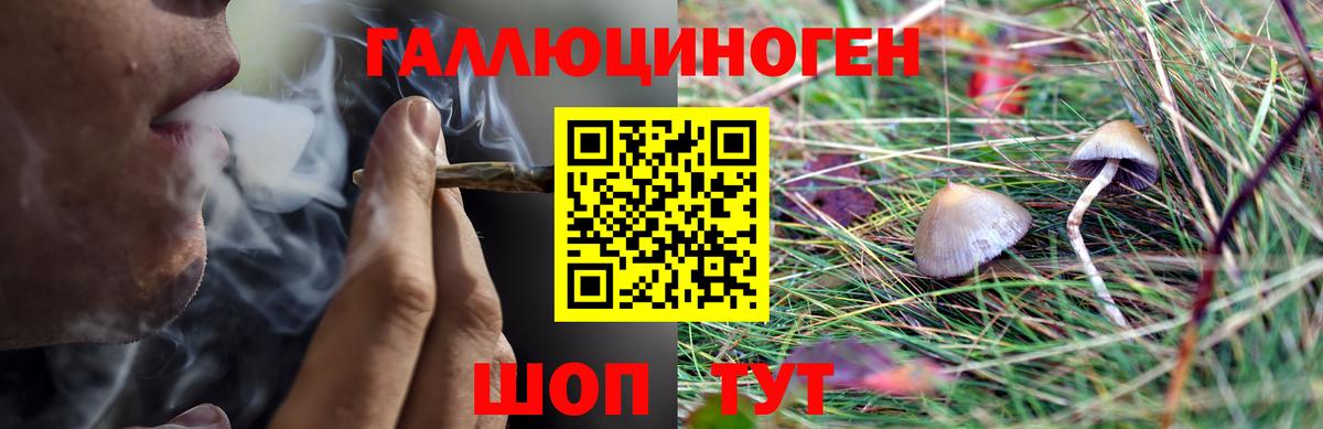 Бор  Галлюциногенные грибы MAGIC MUSHROOMS  Псилоцибиновые грибы прущие грибы  Вход с VPN 