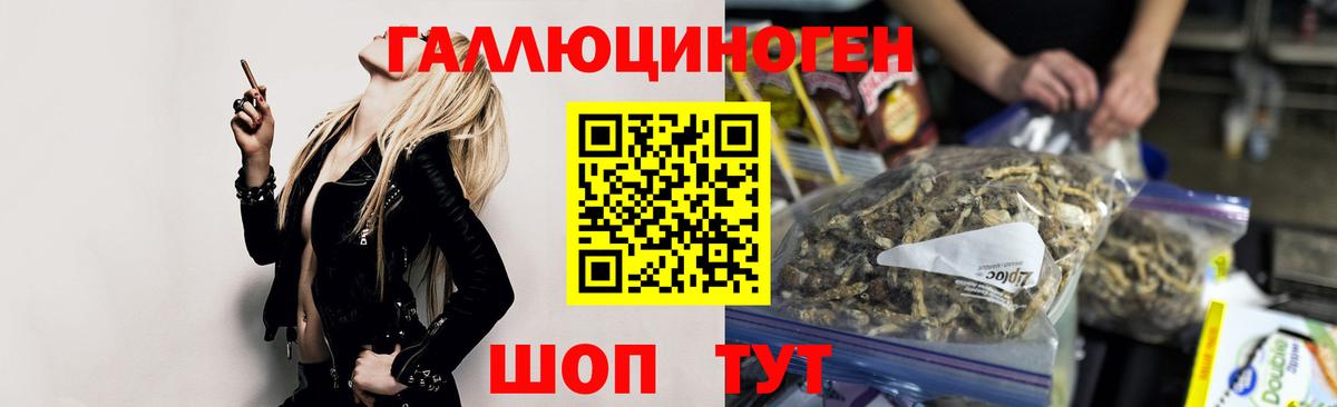 Псилоцибиновые грибы Psilocybine cubensis Бор
